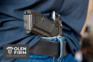 Disqualifying factors in gun ownership