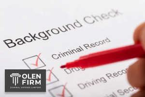 What goes into a background check
