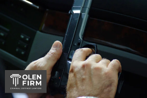 Factors that determine firearm possession