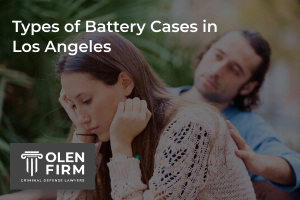 Types of battery cases in Los Angeles