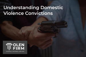 Understanding domestic violence convictions