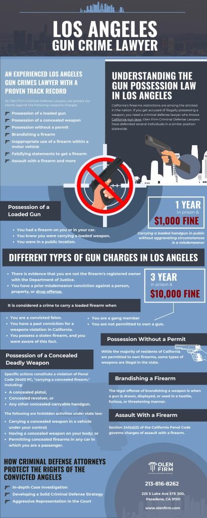 Gun Crime Infographic