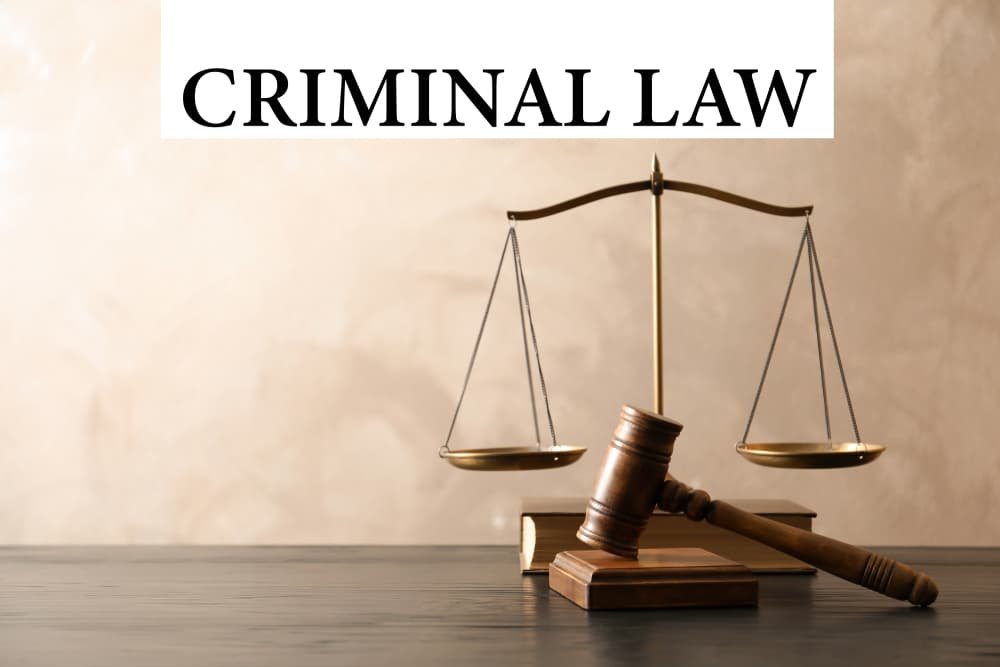 Criminal Law & Justice System